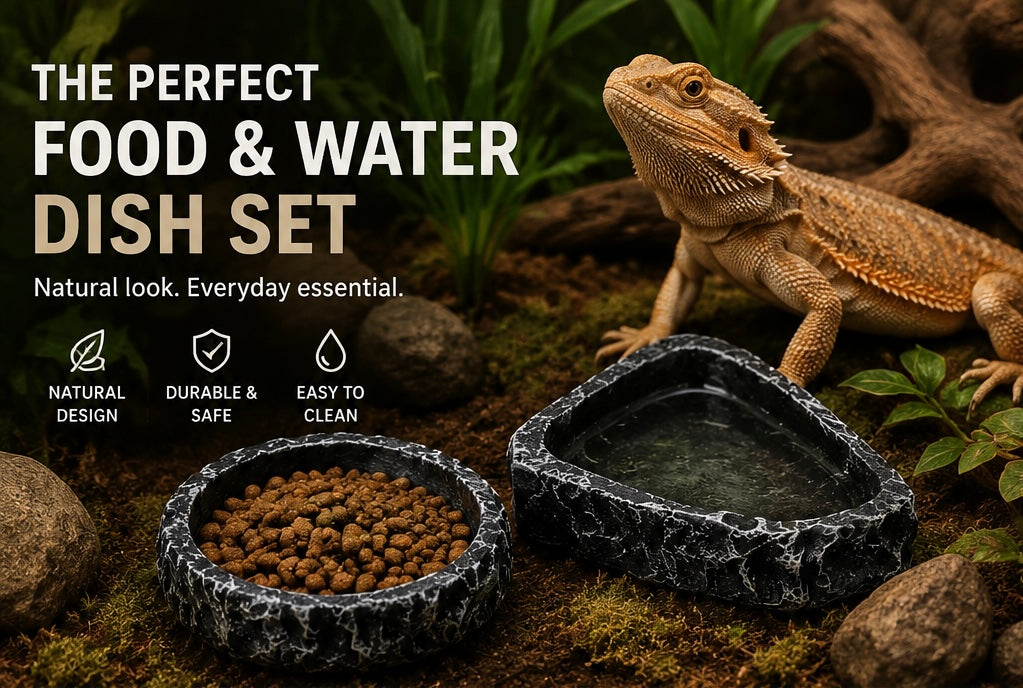 Natural Rock Reptile Bowl Set
