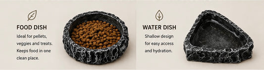 Natural Rock Reptile Bowl Set